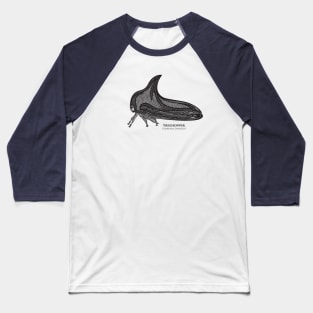 Treehopper with Common and Latin Names - on white Baseball T-Shirt